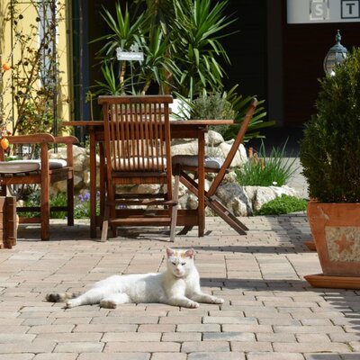 Julie enjoys the spring