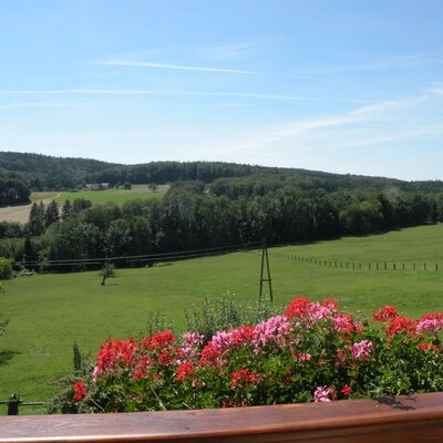 Balcony view from the farm house overlooking the Vienna Woods, featuring green fields, forests, and blooming flowers.