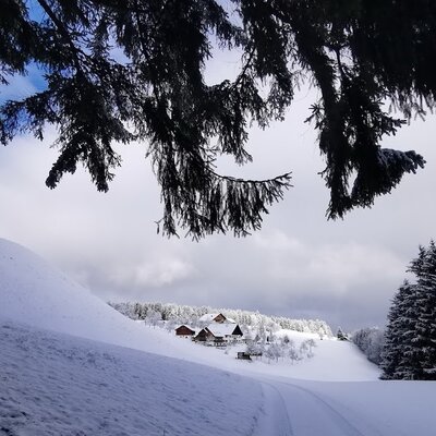 The snowy winter landscape around the farmhouse, with fir trees and a path leading to the buildings.
