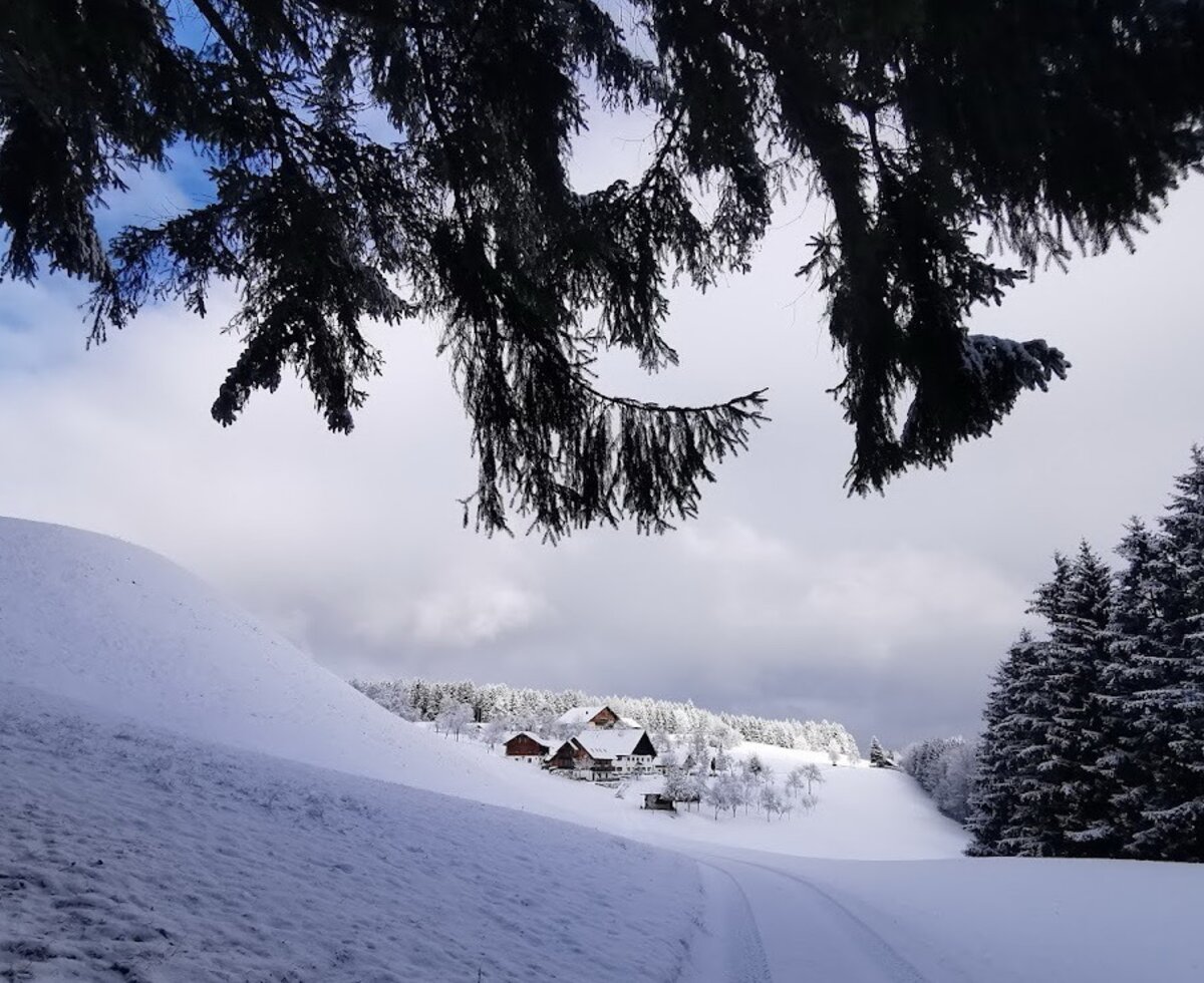 The snowy winter landscape around the farmhouse, with fir trees and a path leading to the buildings.