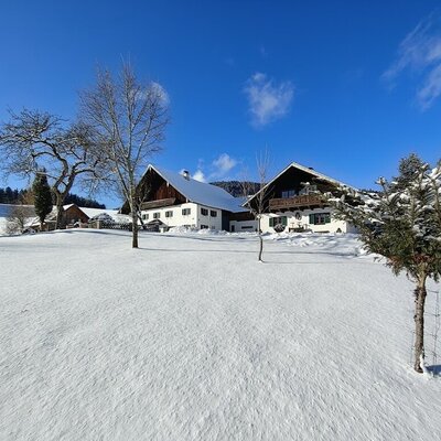 The farmhouse in a snowy winter landscape under a clear blue sky.