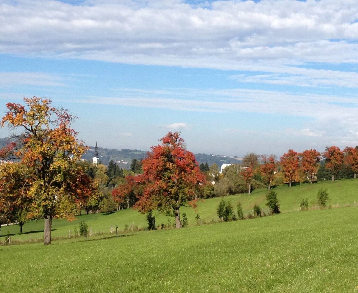 View of the surrounding landscape from the Farm House, featuring green pastures, autumn trees, and a distant town with a church spire.