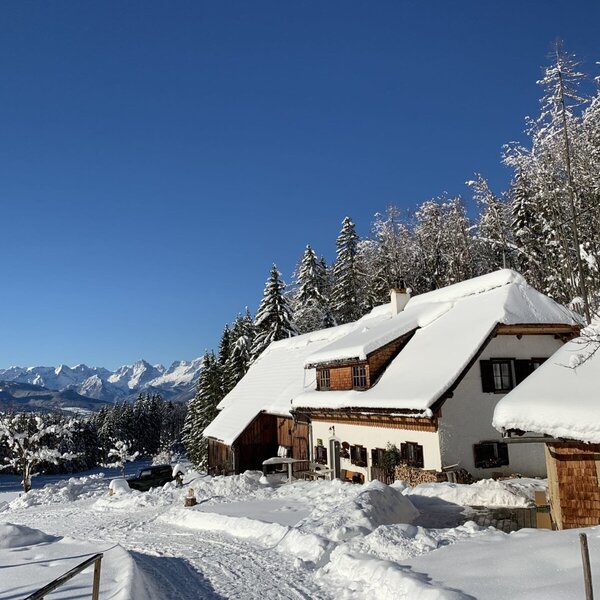 hearty winter mood