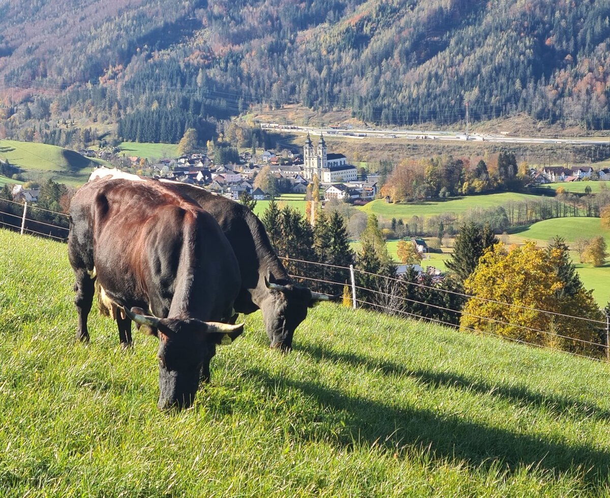 View into the valley