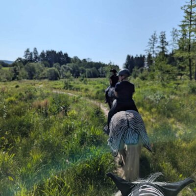 People riding horses on a path through the green landscape of the farmhouse.