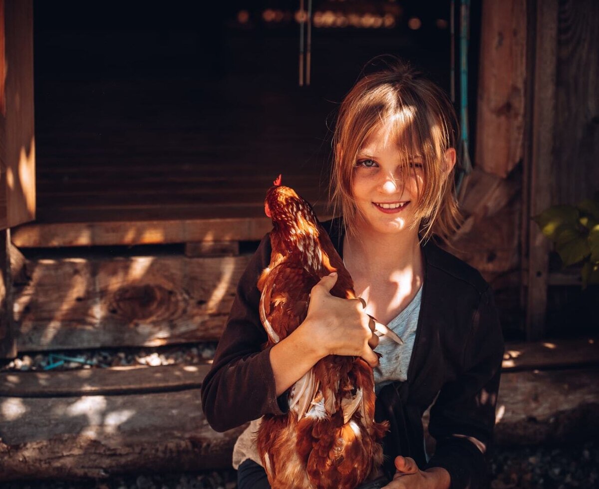 Interaction with farm animals, like this chicken, is available for guests at the farm house.