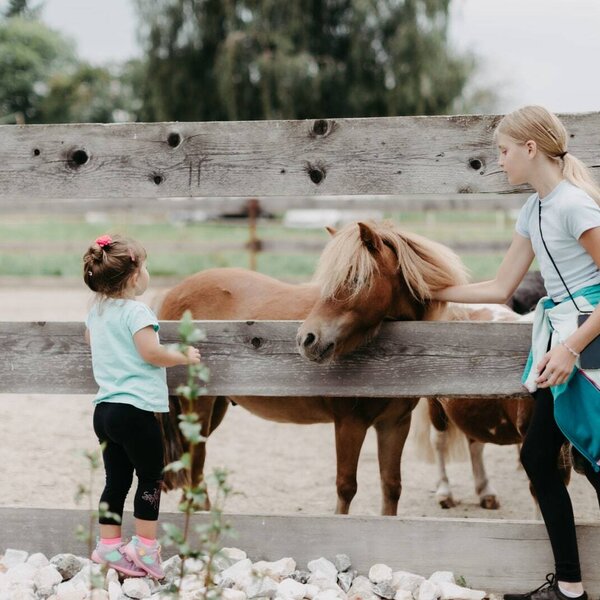Children petting a pony at the Farm House's petting zoo.