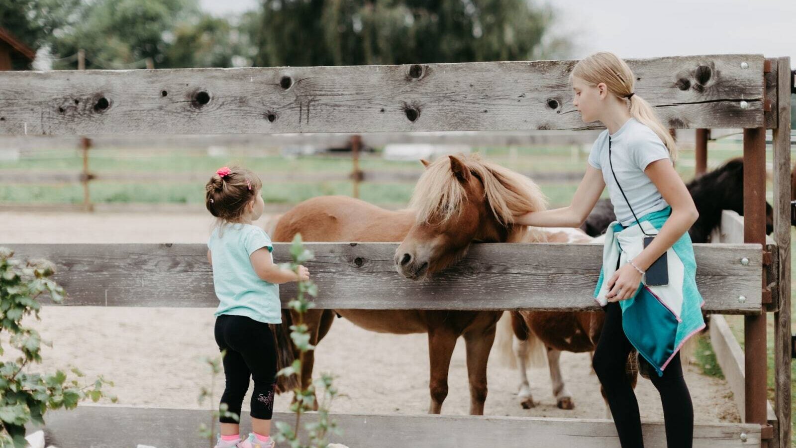 Children petting a pony at the Farm House's petting zoo.