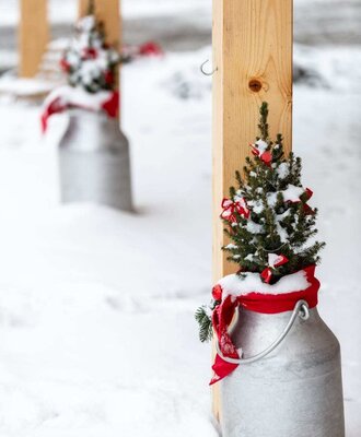 Winter decoration with milk cans and small fir trees at the Bauernhof.