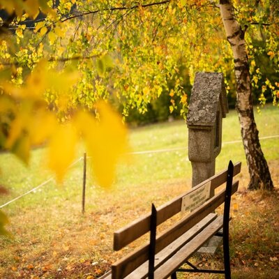 Wooden bench in the outdoor area of the farmhouse, surrounded by autumn leaves and a birch tree, with a stone shrine.