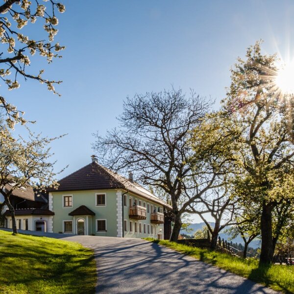 The farmhouse with a light green building, balconies, and a paved driveway, surrounded by blooming trees and green hills under bright sunshine.