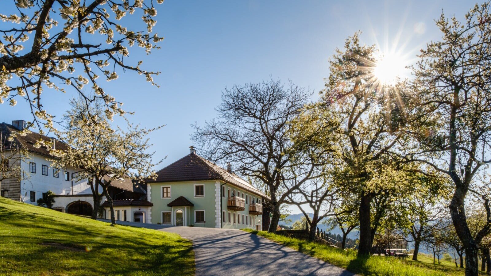 The farmhouse with a light green building, balconies, and a paved driveway, surrounded by blooming trees and green hills under bright sunshine.