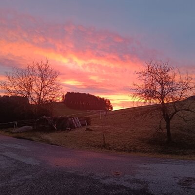 The rural landscape surrounding the Farm House at sunrise, featuring colorful clouds and bare trees.