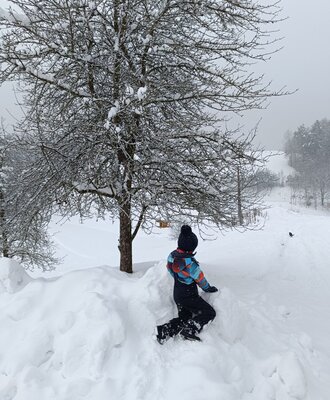 Guests can enjoy playing in the snow near snow-covered trees at the Farm House.