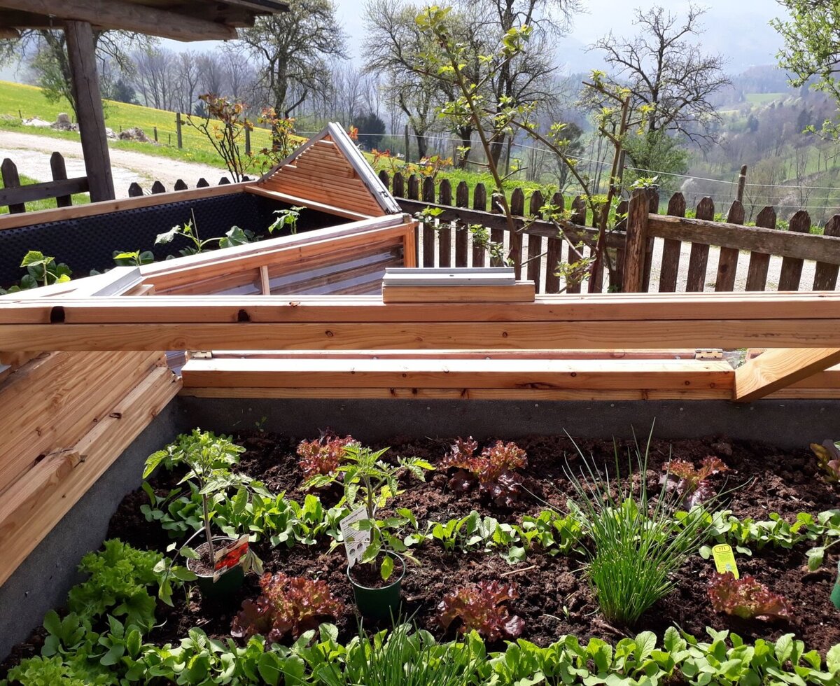 A raised garden bed at the farm house, featuring lettuce, chives, and other young plants growing under a wooden cold frame.