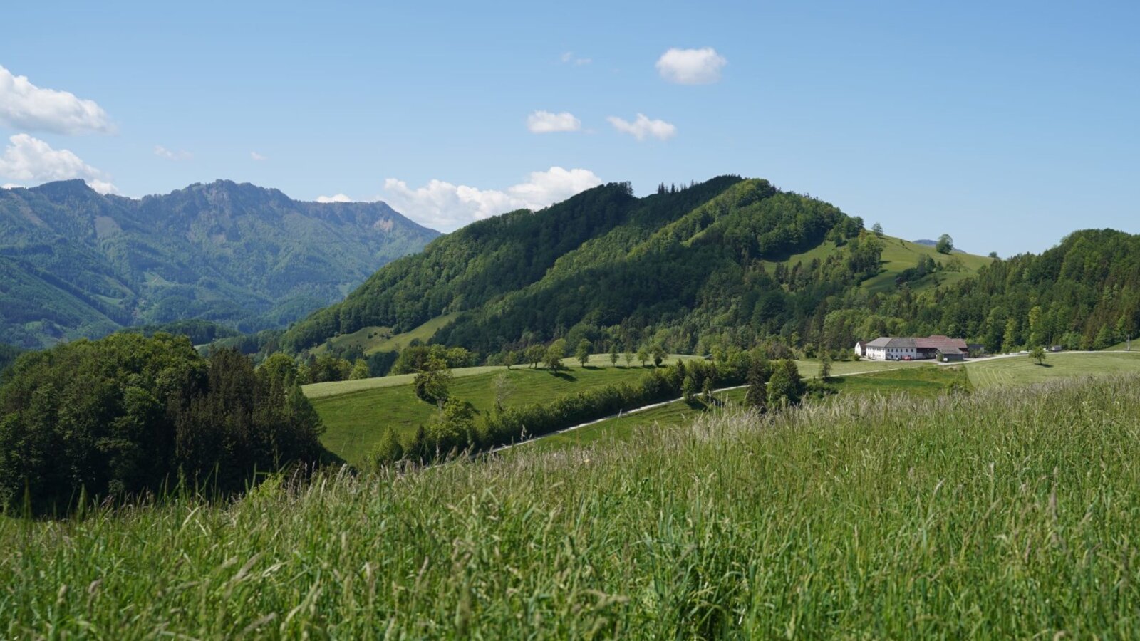 Landscape featuring the farmhouse, surrounded by green hills and mountains.