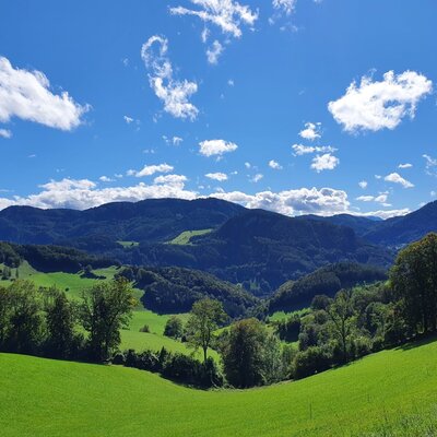Our beautiful Alpine foothills