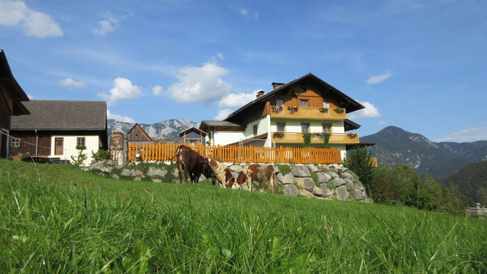 summerholiday on the farm