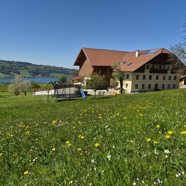 The farmhouse features a large meadow with flowers, a trampoline, a slide, and a view of the lake and mountains.