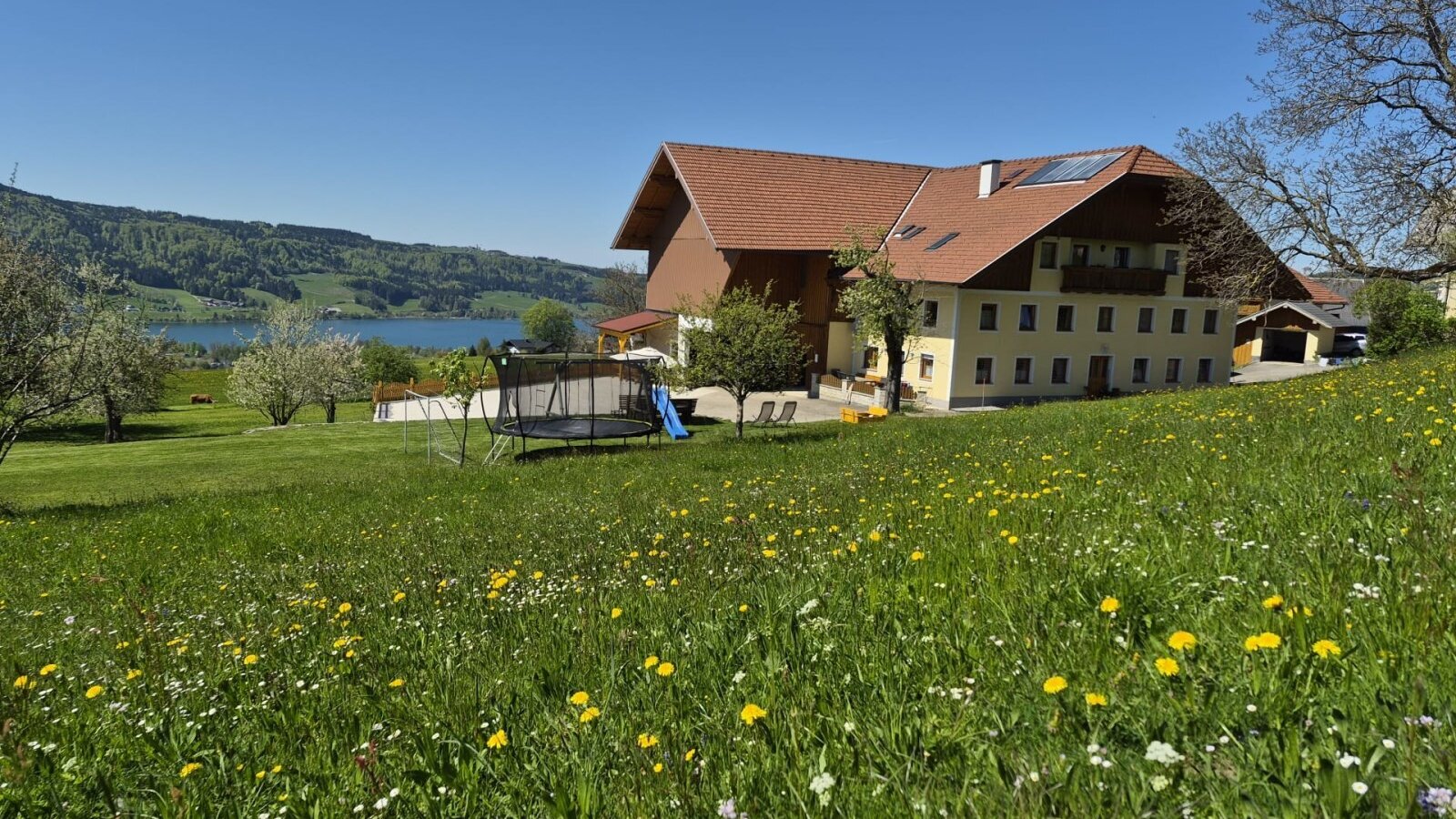 The farmhouse features a large meadow with flowers, a trampoline, a slide, and a view of the lake and mountains.