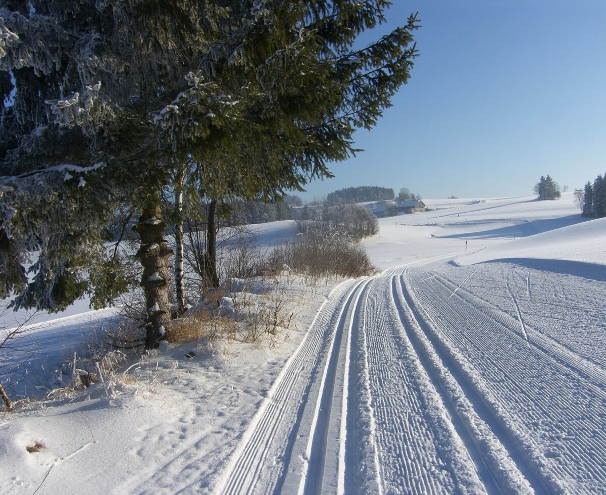 Cross-country skiing trails