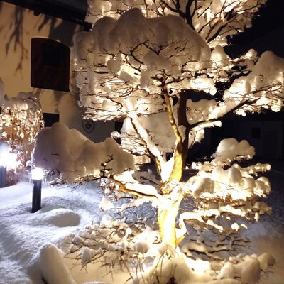 Winterwonderland