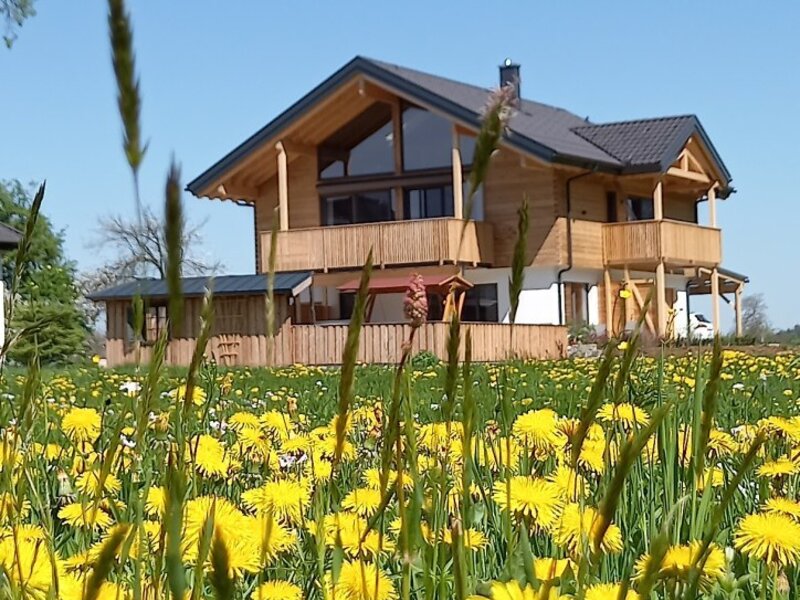 The new Guesthouse - Chalet coming soon