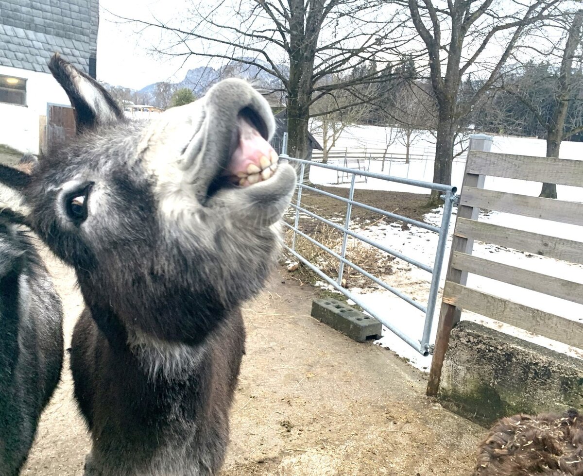 A little smile from Leo