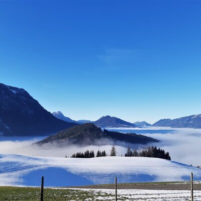View of snow-covered mountains, evergreen trees, and a cloud-filled valley from the Farm House.