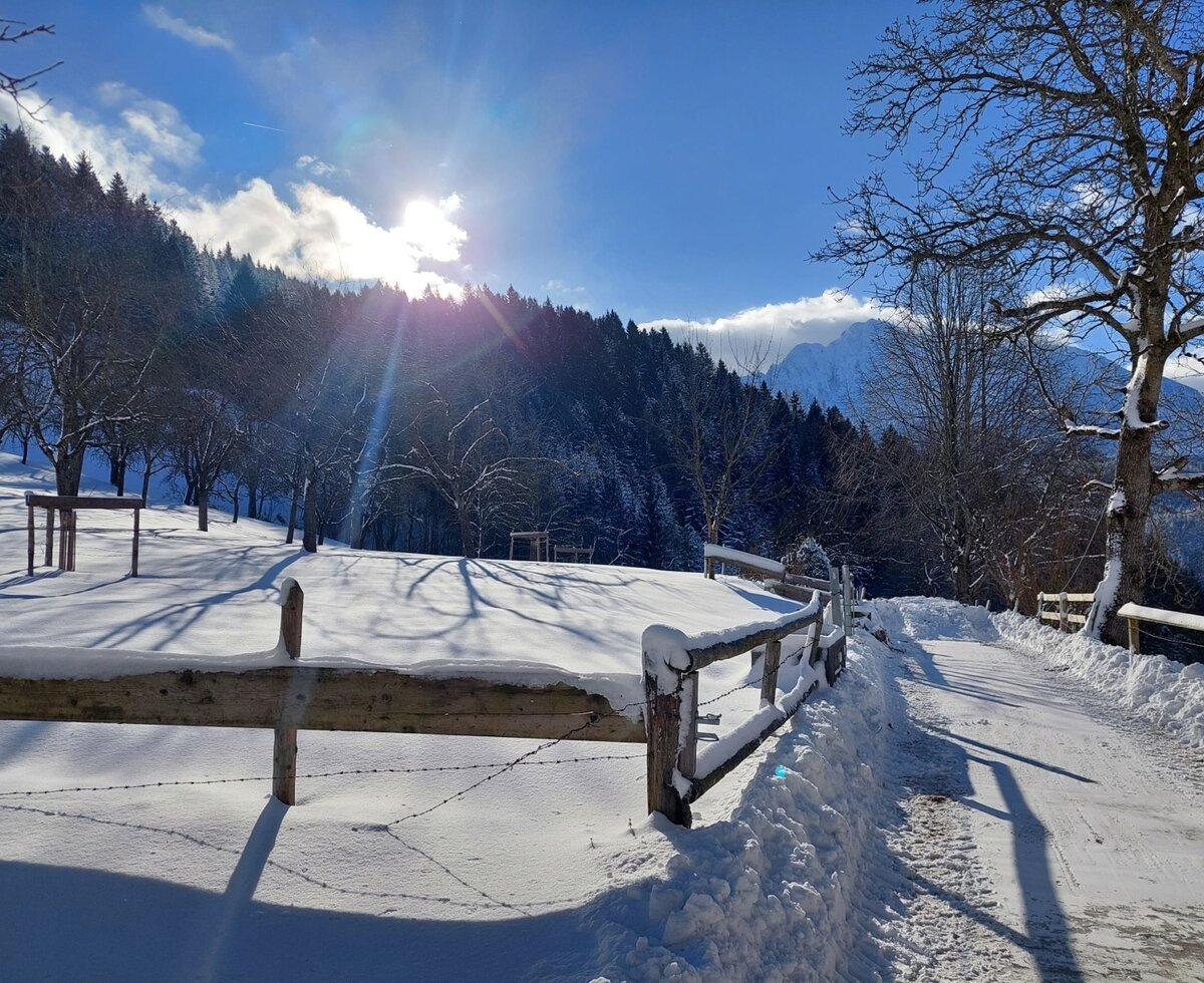 Snowy landscape around the farm