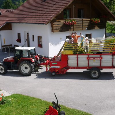 Everyone helps out at the organic farm Hotz