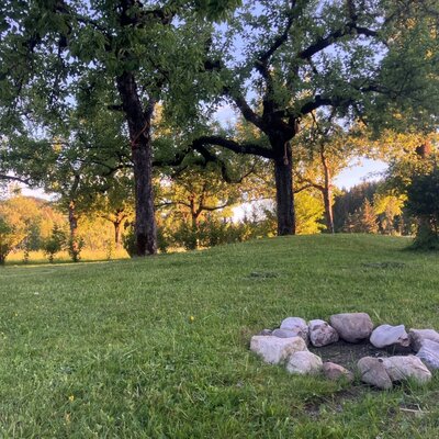 Stone fire pit on the lawn of the farmhouse, surrounded by trees.