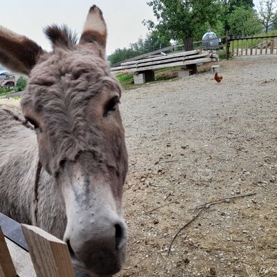Hello!
