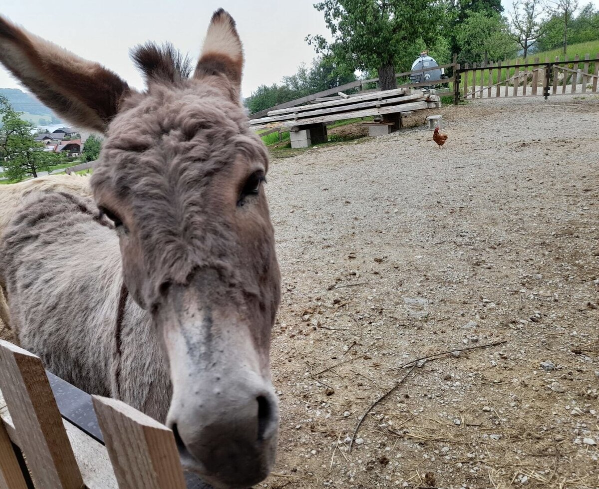 Hello!