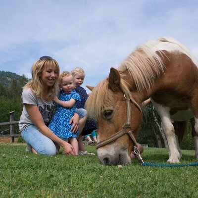 Children interacting with a pony on the lawn at the Farm House.