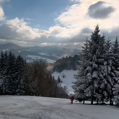 Skiers on a slope with snow-covered trees and mountain views at the Bauernhof.