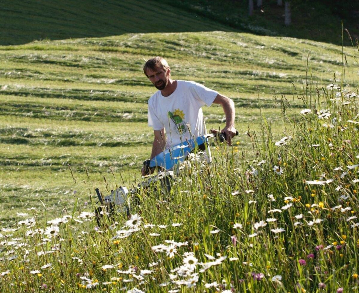 Farm work underway at the Farm House, with a field of wildflowers being mown.