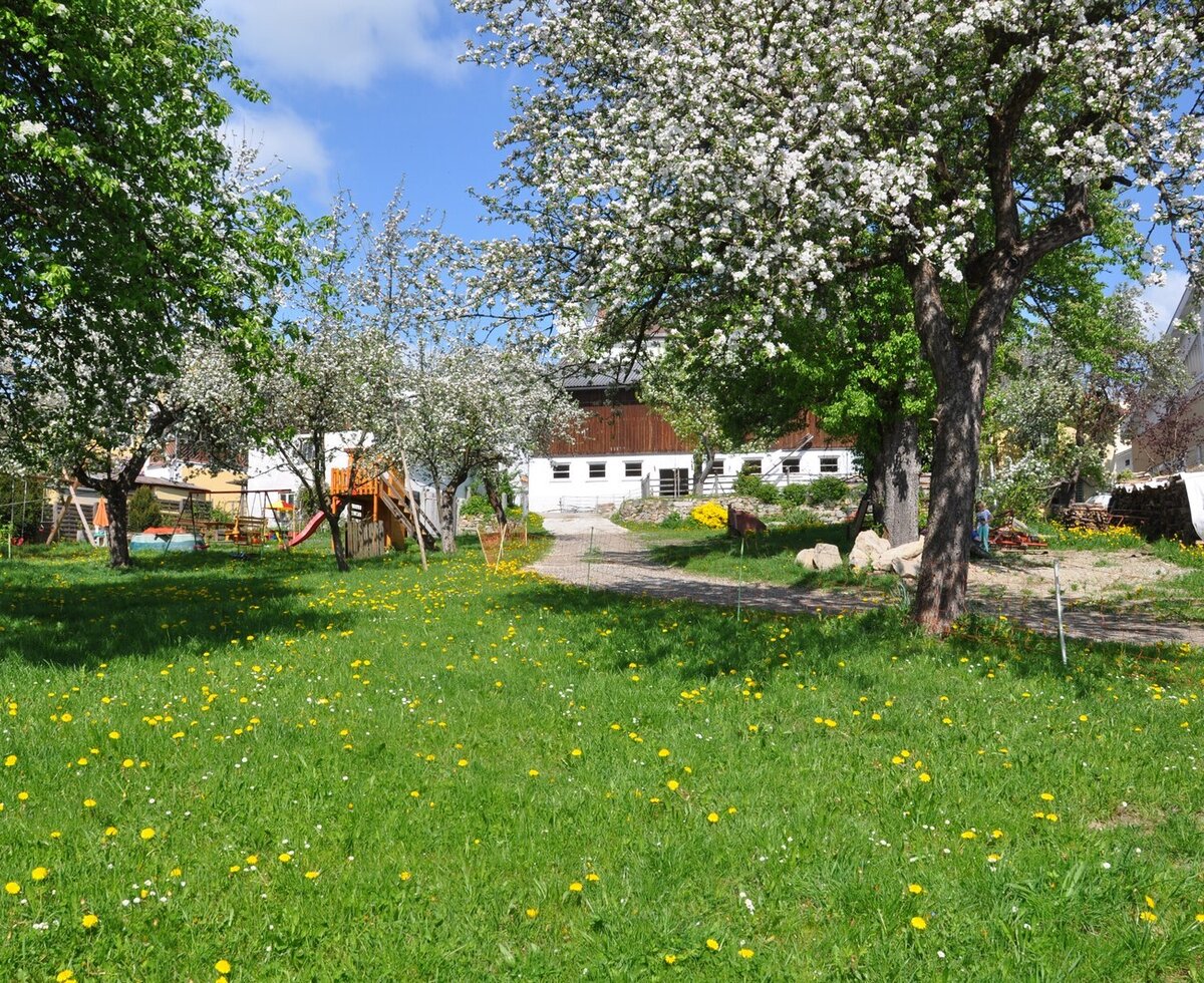 A favorite spot the orchard