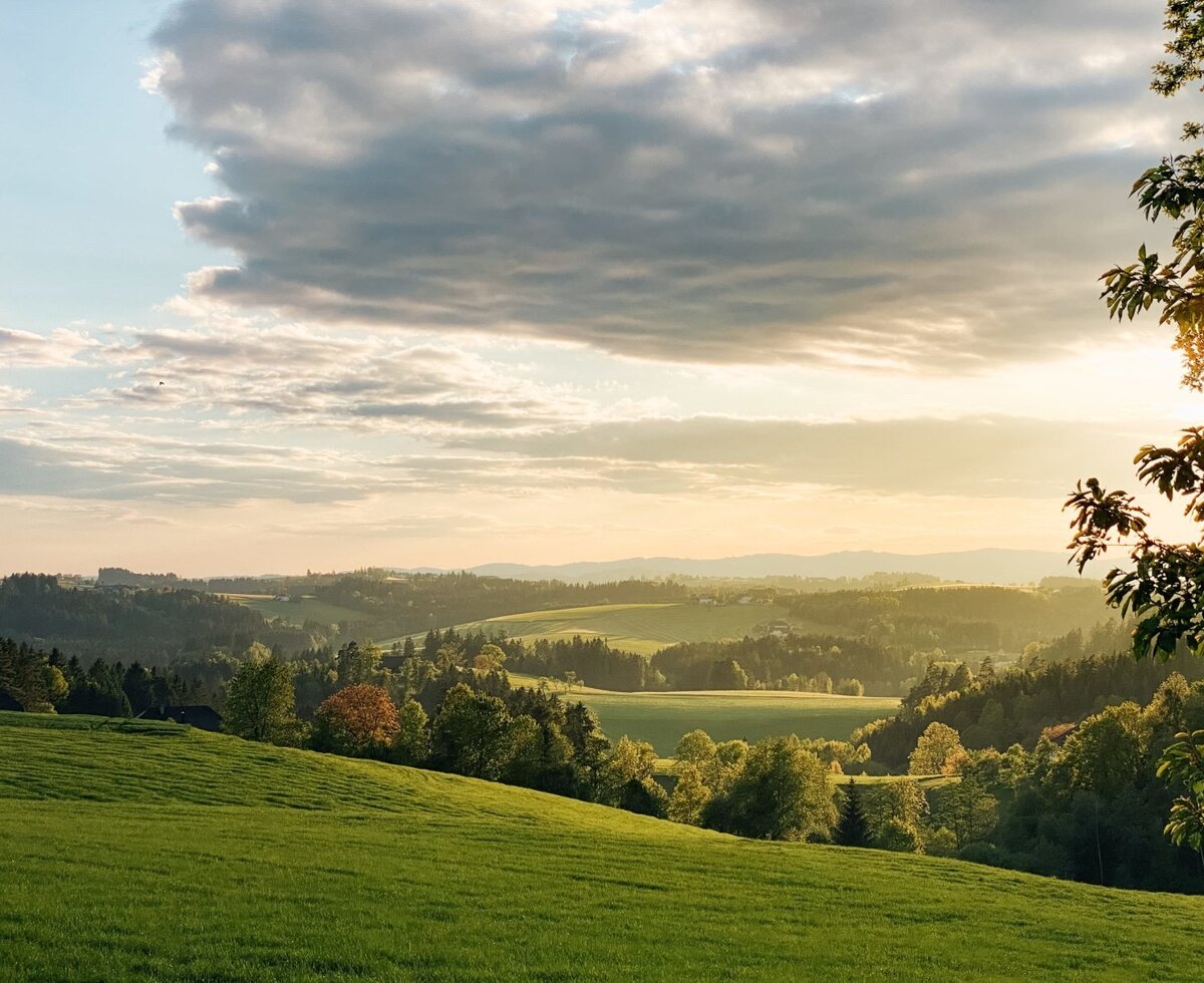 The landscape view from the Farm House, featuring rolling green meadows, wooded hills, and a distant valley bathed in golden light.