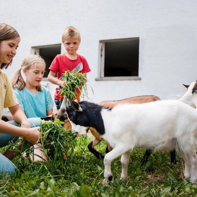 Children feeding goats on the farm. ©TVB Mühlviertel Berlinger Justin