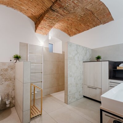 Modern bathroom in the farmhouse with a large shower, wall-mounted toilet, vanity, heated towel rail, and a brick vaulted ceiling.