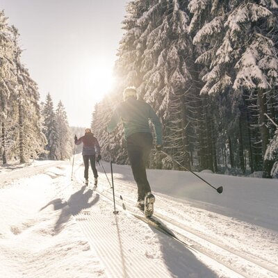Guests cross-country skiing on a groomed trail through the snowy forest, a winter activity in the farmhouse's region.