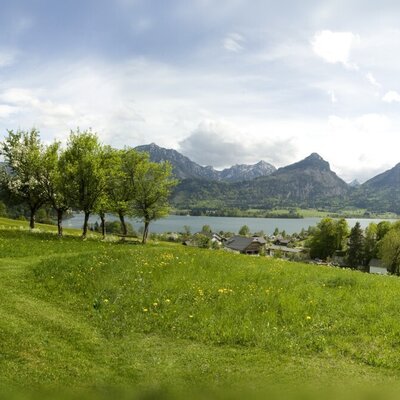 View of the Wolfgangsee lake