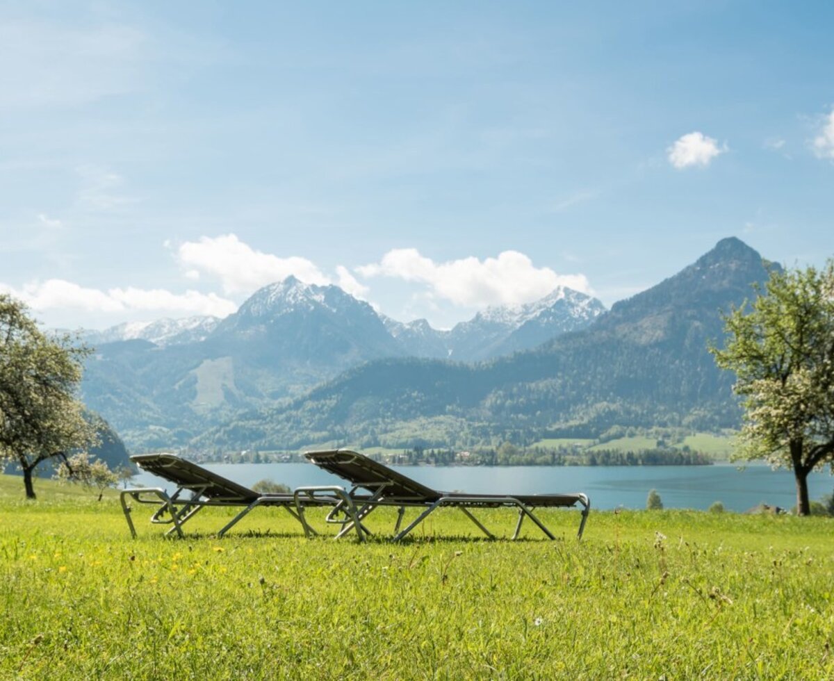 Sunbathing lawn with a view of Lake Wolfgang
