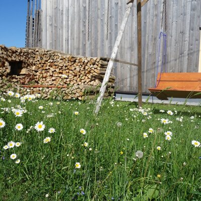 The outdoor area of the Farm House features a wooden swing bench, stacked firewood, and a field of daisies.