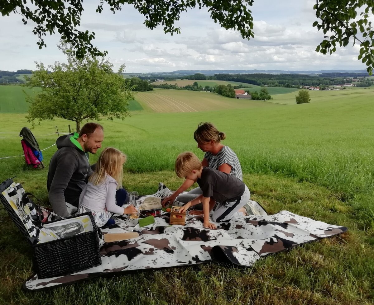 Guests enjoy a family picnic on a blanket in a green field with views of the rural landscape at the Farm House.