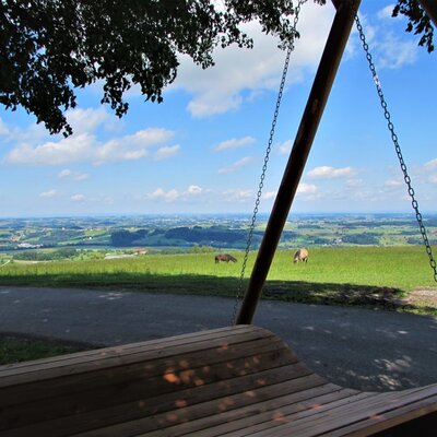 relax and unwind under the old tree