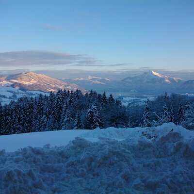 Schafberg Panorama in winter