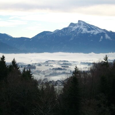 light morning fog in winter