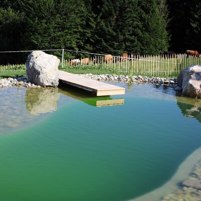 Jetty at the swimming pond